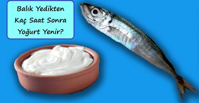 balık yedikten kaç saat sonra yoğurt yenir