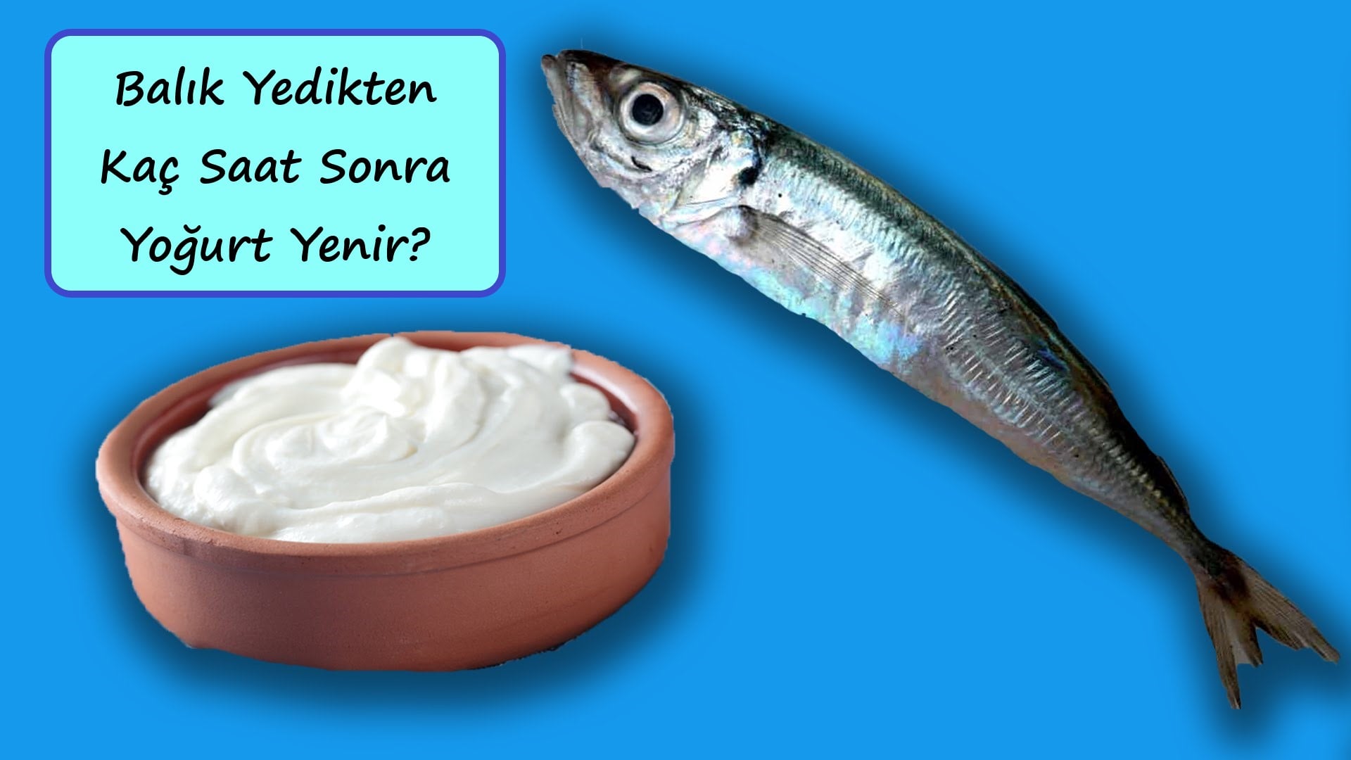 balık yedikten kaç saat sonra yoğurt yenir