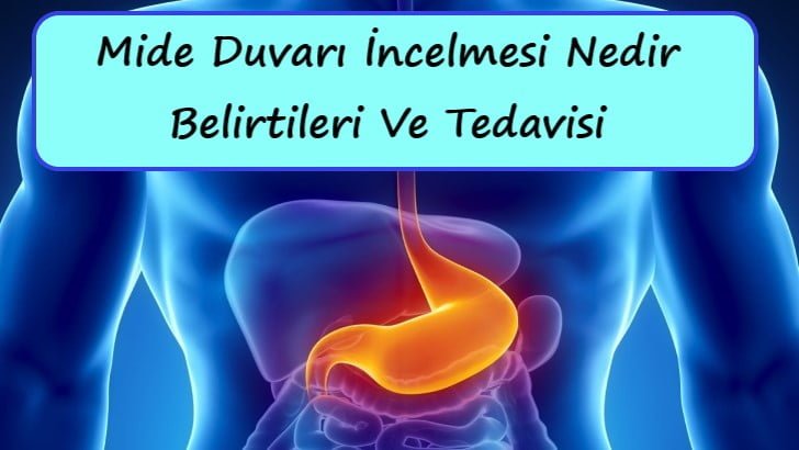 Mide Duvarı İncelmesi Nedir, Belirtileri Ve Tedavisi