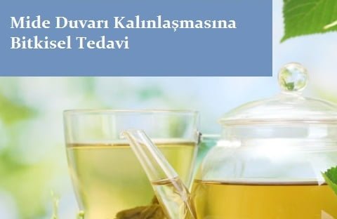 Mide Duvarı Kalınlaşmasına Bitkisel Tedavi