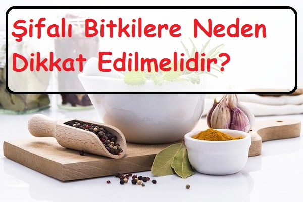 şifalı bitkilere neden dikkat edilmelidir