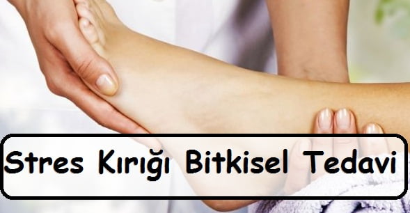 Stres Kırığı Bitkisel Tedavi