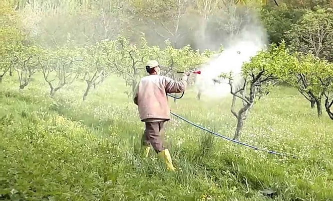 Tarım İlacı Zehirlenmesinde İlk Yardım