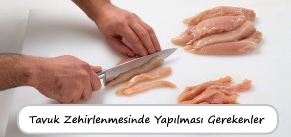 Tavuk Zehirlenmesinde Yapılması Gerekenler